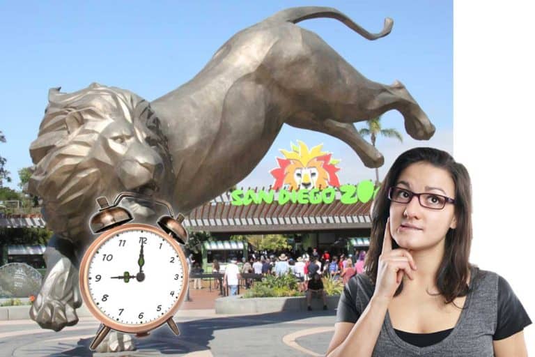 San Diego Zoo When’s the Best Time to Visit? SanDiegoing