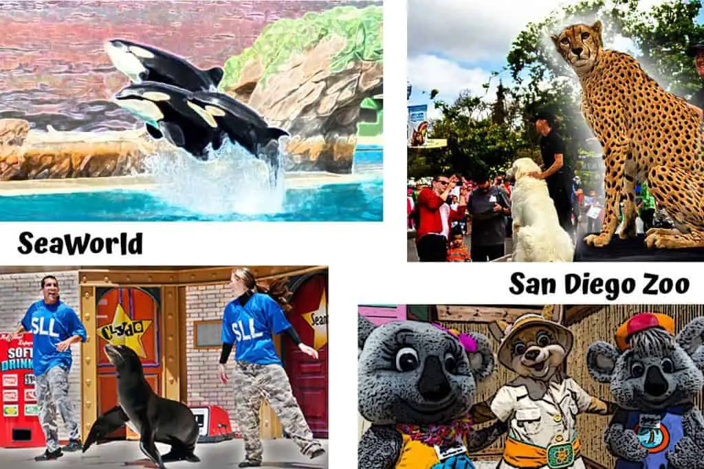 San Diego Zoo and SeaWorld Shows photo collage