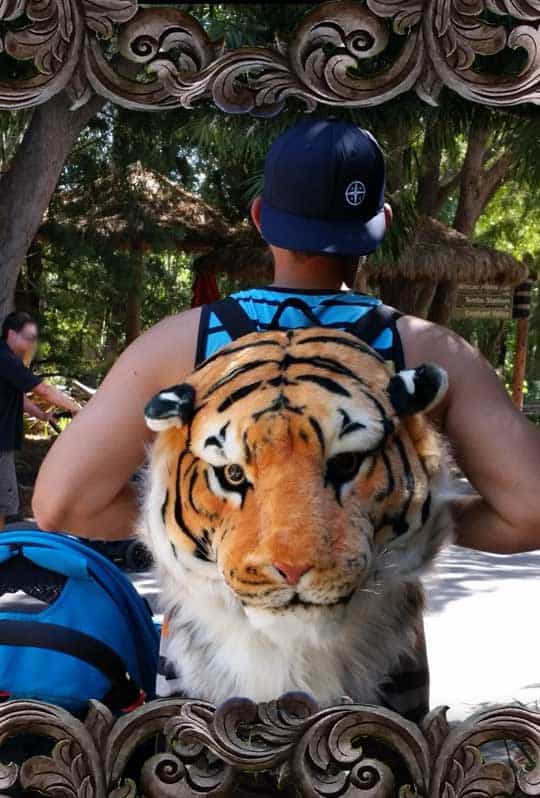 Realistic tiger faced backpack from Amazon