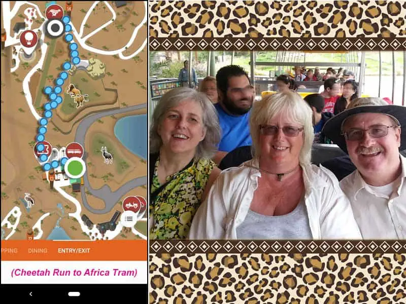 Safari Park map - route from Cheetah Run to Africa Tram