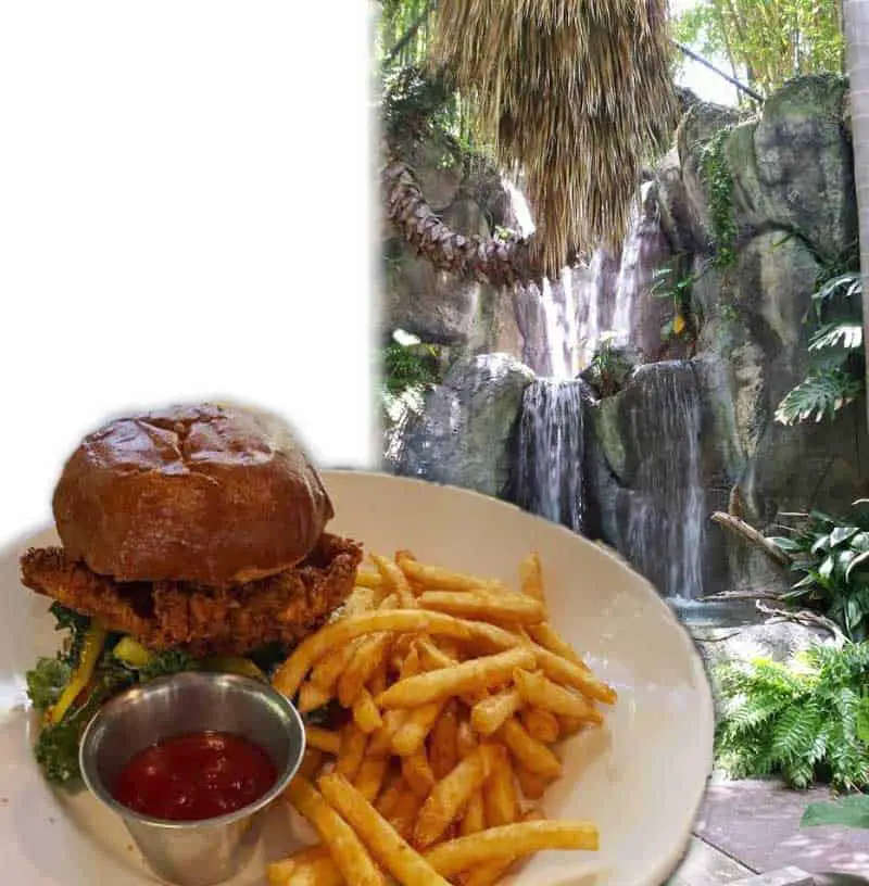 Waterfall at Albert's Restaurant at the San Diego Zoo. Also their Nashville Crispy Chicken Sandwich plate.