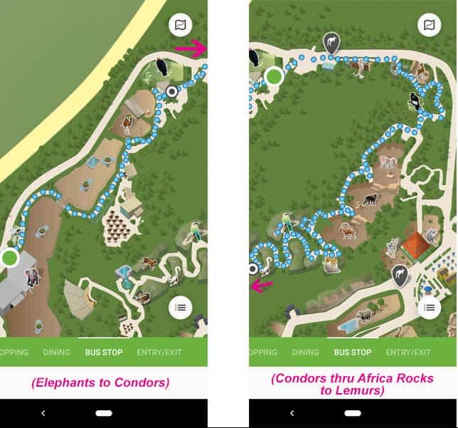 San Diego Zoo maps. Route from the Elephant Care Center to the condors and the lemurs at Africa Rocks.