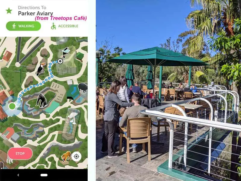 San Diego Zoo map. Route from Treetops Cafe to Parker Aviary