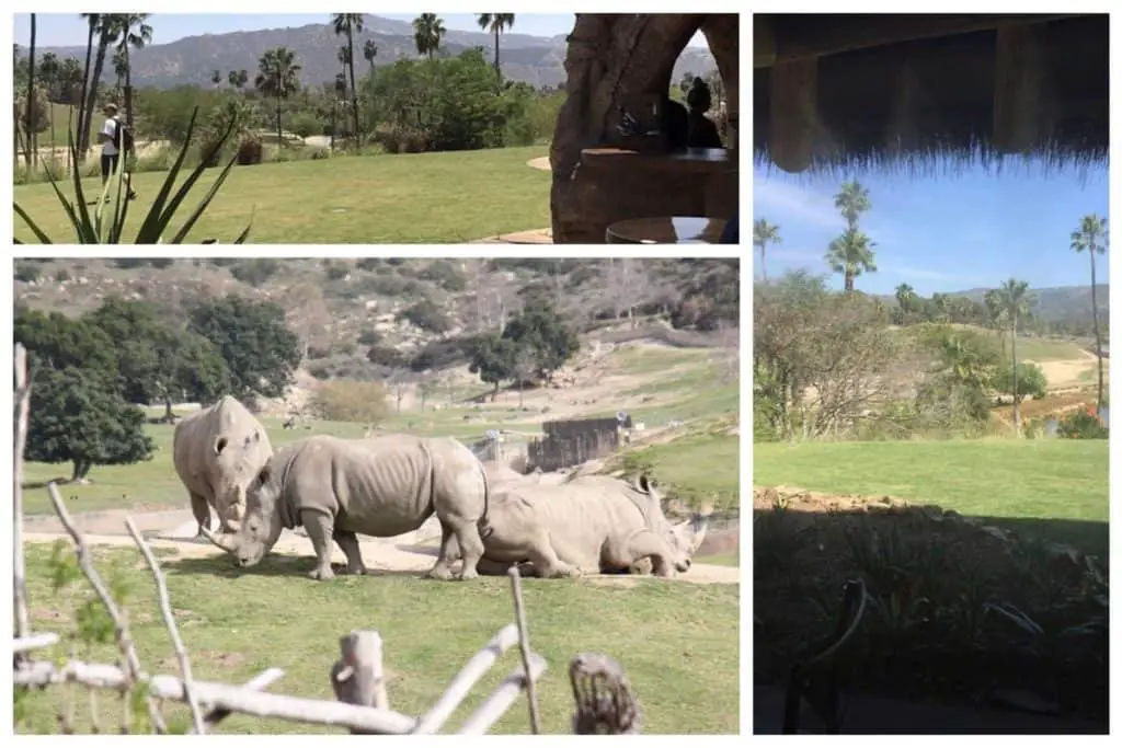 food near san diego safari park