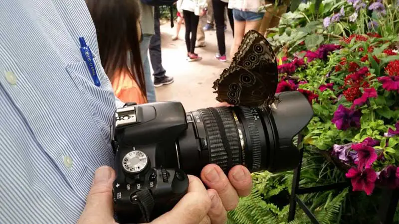 You can bring almost any camera into San Diego Zoo and Safari Park.