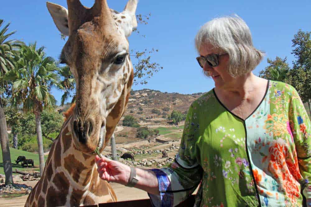Feeding a giraffe on a San Diego Caravan Safari, my sister Mary Beth.