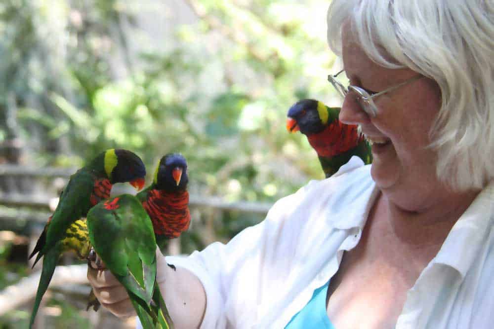 San Diego Zoo Safari Park Lorikeet Landing - on me!