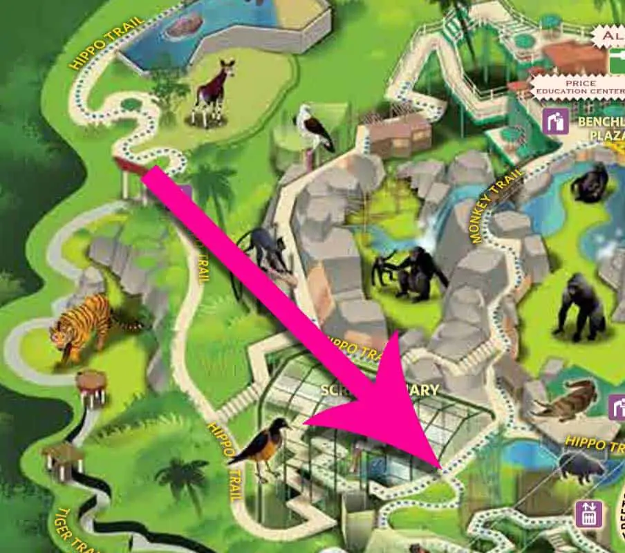 Small blue dots indicate wheelchair and stroller accessible walking routes on San Diego Zoo map.