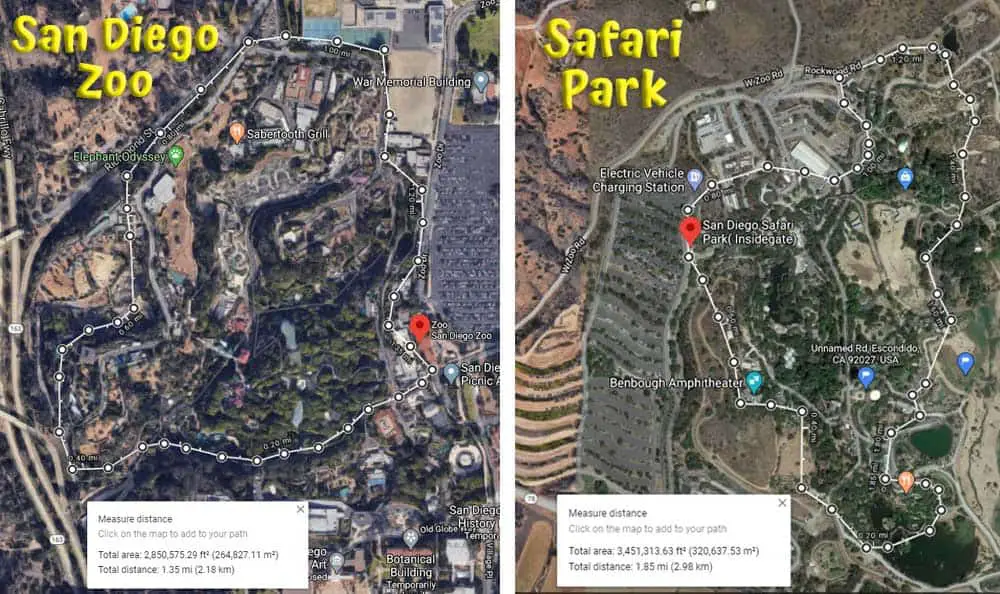 san diego to safari park