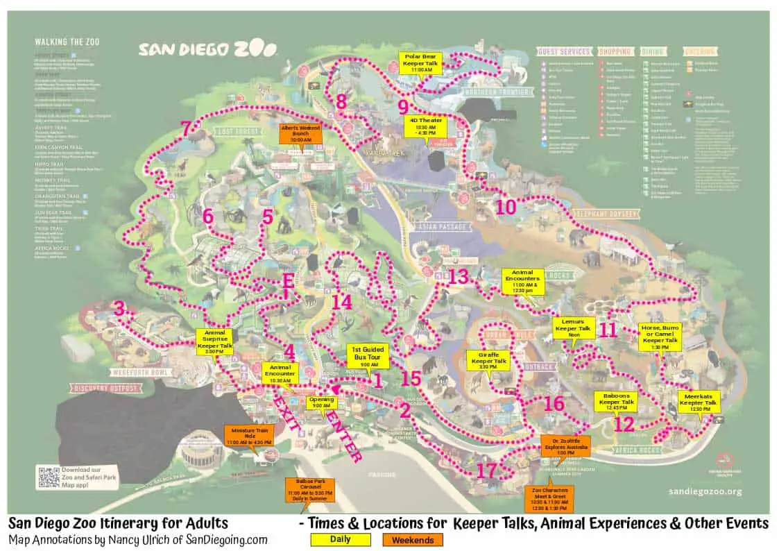 Best San Diego Zoo Itineraries in 2020 (with Toddlers or for Adults