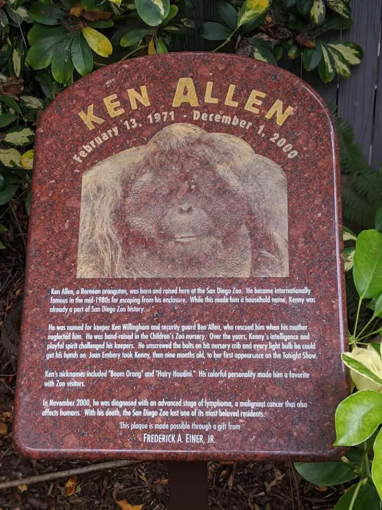 Memorial plaque for Ken Allen, San Diego Zoo's most famous orangutan.