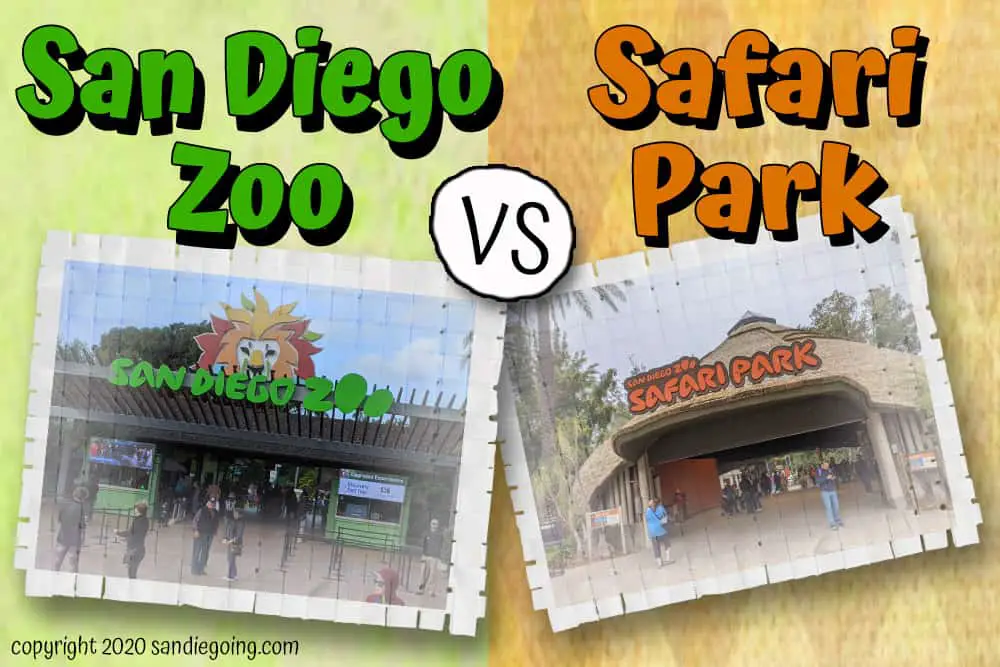 san diego zoo vs safari