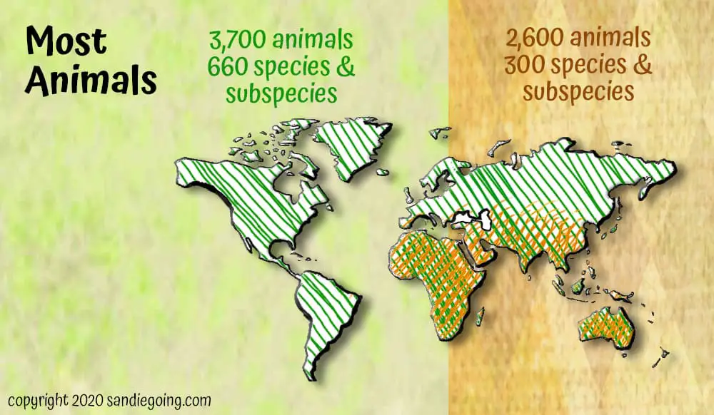 San Diego Zoo vs Safari Park, which has the most animals and where are they from?