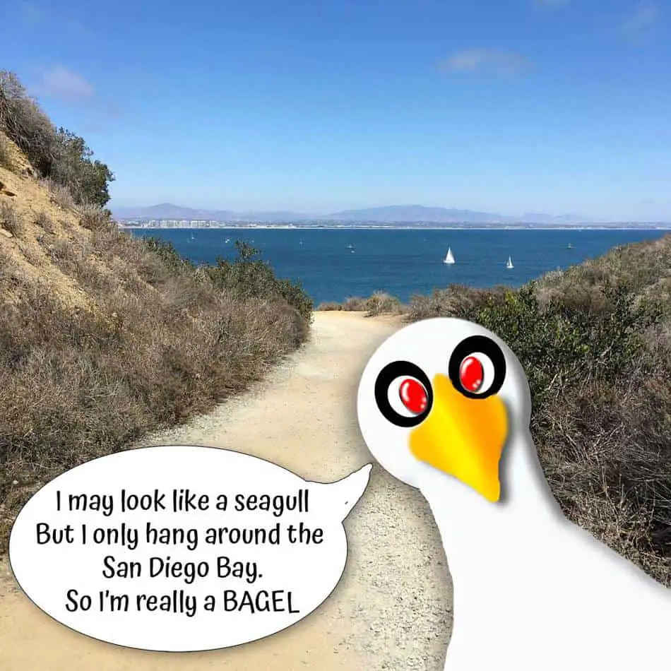 Cabrillo National Monument Bayside Trail view with cartoon seagull saying, "I may look like a seagull, but I only hang around the San Diego Bay. So I'm really a BAGEL.