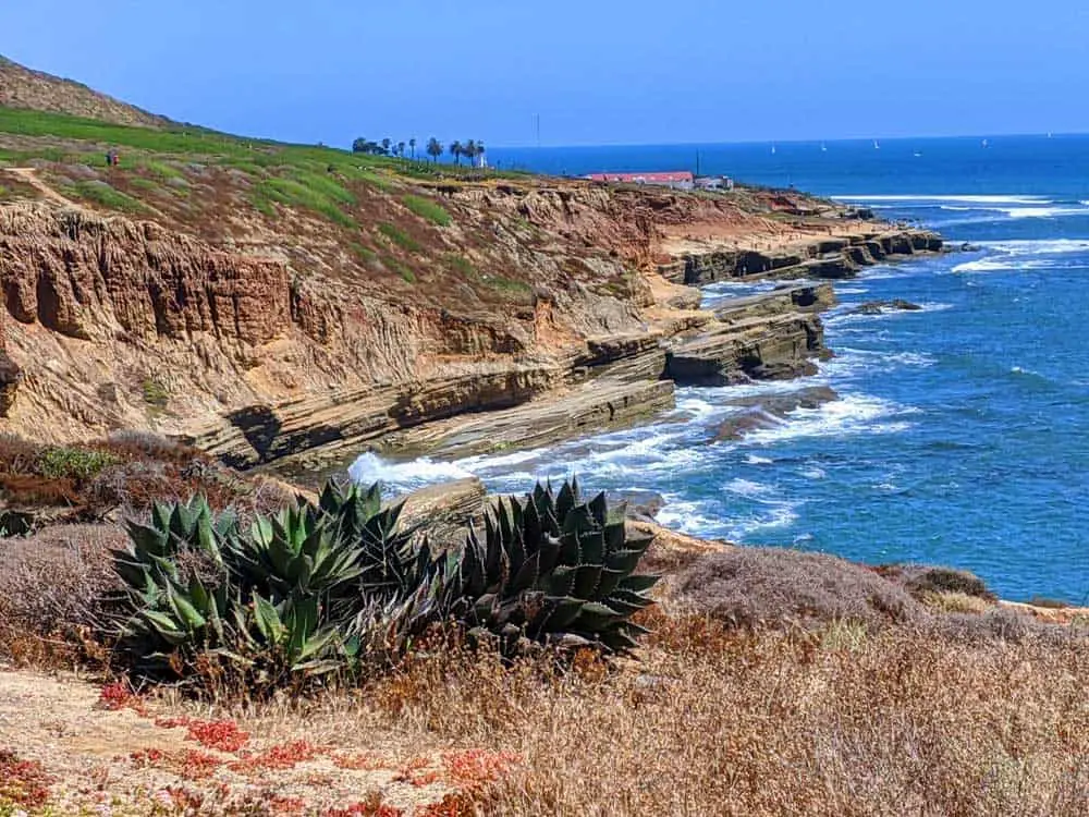 Cabrillo National Monument scenery with cliffs, ocean and native plants.