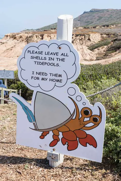 Sign at Cabrillo National Monument Tide Pools telling you to leave shells where they are.