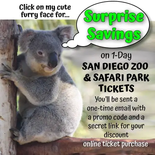 Photo of koala saying" Click on my cute furry face for Surprise Savings on 1-Day San Diego Zoo and Safari Park tickets. You'll be sent a one-time email with a promo code and a secret link for your discount online purchase."