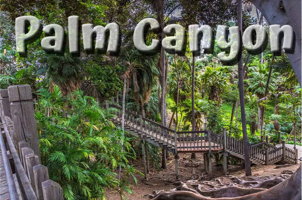 Balboa Park, Palm Canyon photo showing footbridge and stairs.