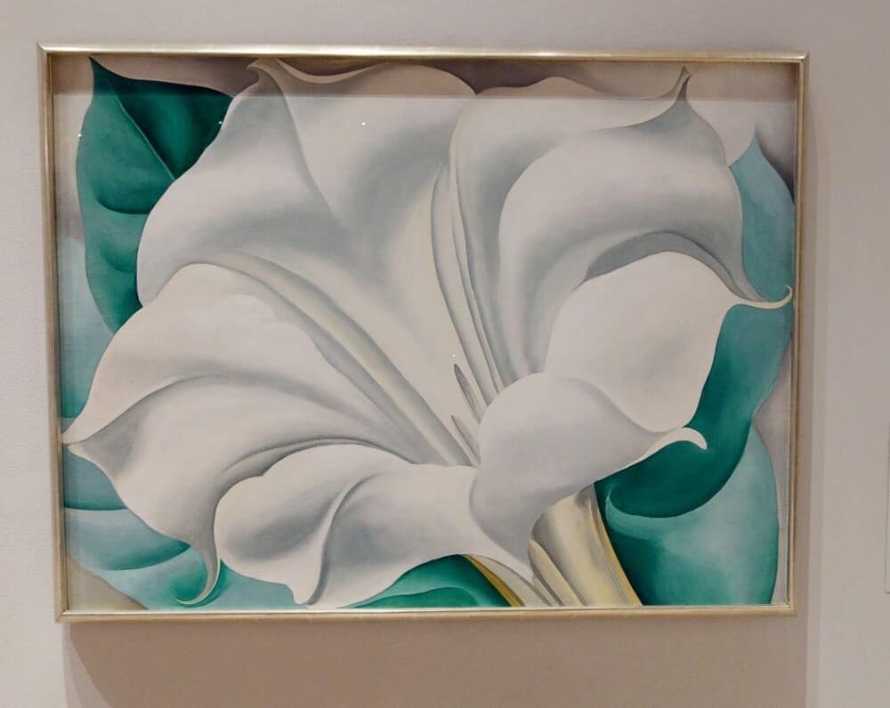 Georgia O'Keefe painting "The White Flower" at San Diego Museum of Art in Balboa Park