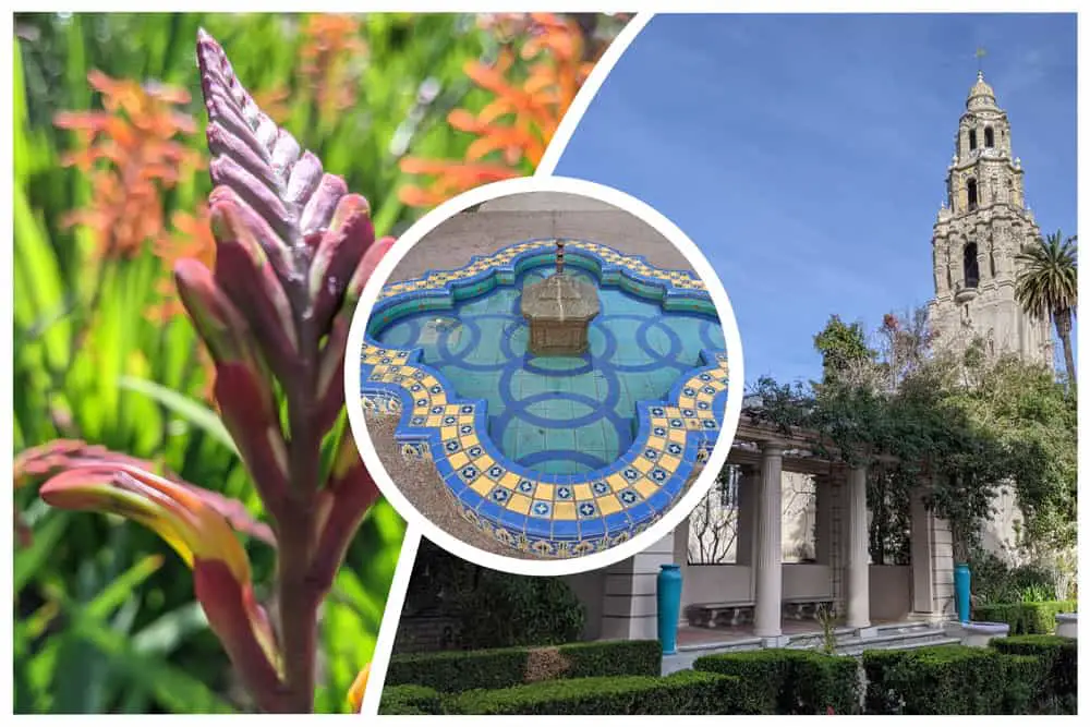 Photo collage of Alcazar Garden in Balboa Park, San Diego. Left to right; flower, blue and yellow mosaic covered fountain, pergola with California Tower in the background.