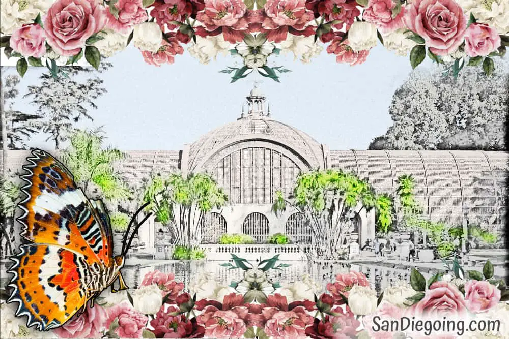 Photo collage of the Botanical Building in Balboa Park, San Diego. Vintage look with butterfly and rose borders.