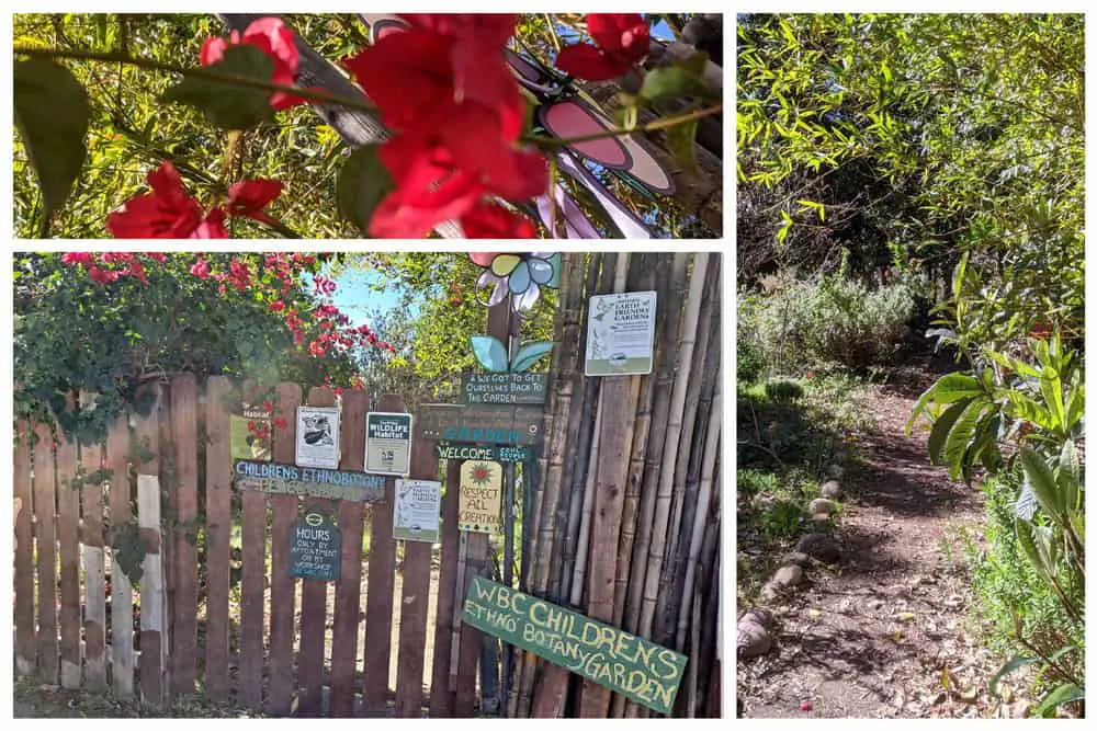 Photo collage from the Ethnobotany Children's Garden in Balboa Park, San Diego.