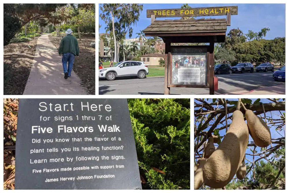 Photo collage of the Trees for Health garden in Balboa Park, San Diego