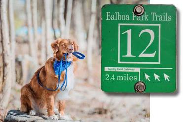are dogs allowed in balboa park hiking trails