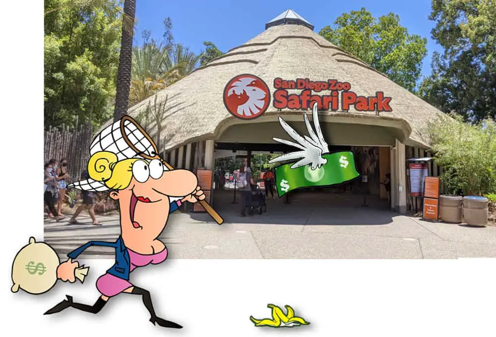 Cartoon woman chasing San Diego Safari Park discount ticket deals (represented by a flying dollar bill)