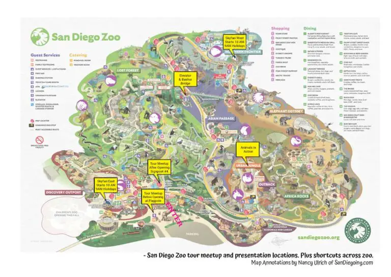 Best San Diego Zoo Itineraries in 2023 (with Toddlers or for Adults