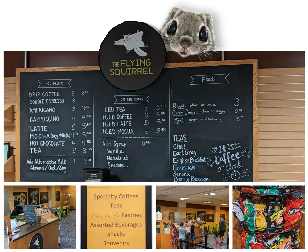 The Flying Squirrel in San Diego Natural History Museum - photo collage of menu, snacks and seating.