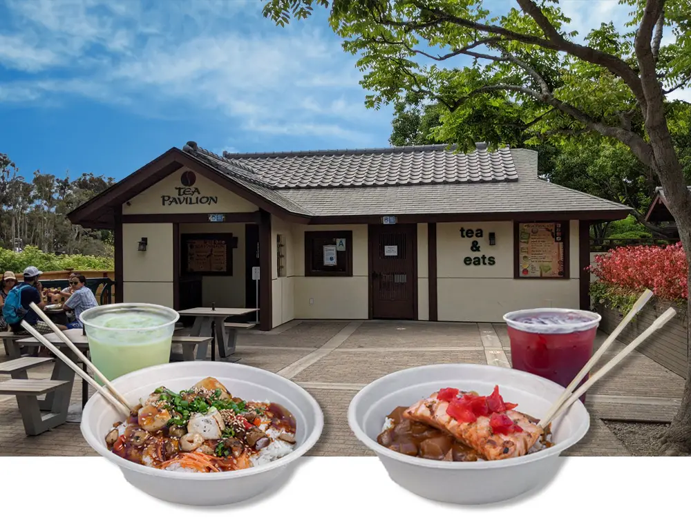 Tea Pavilion restaurant in Balboa Park with teriyaki and salmon bowls and drinks.