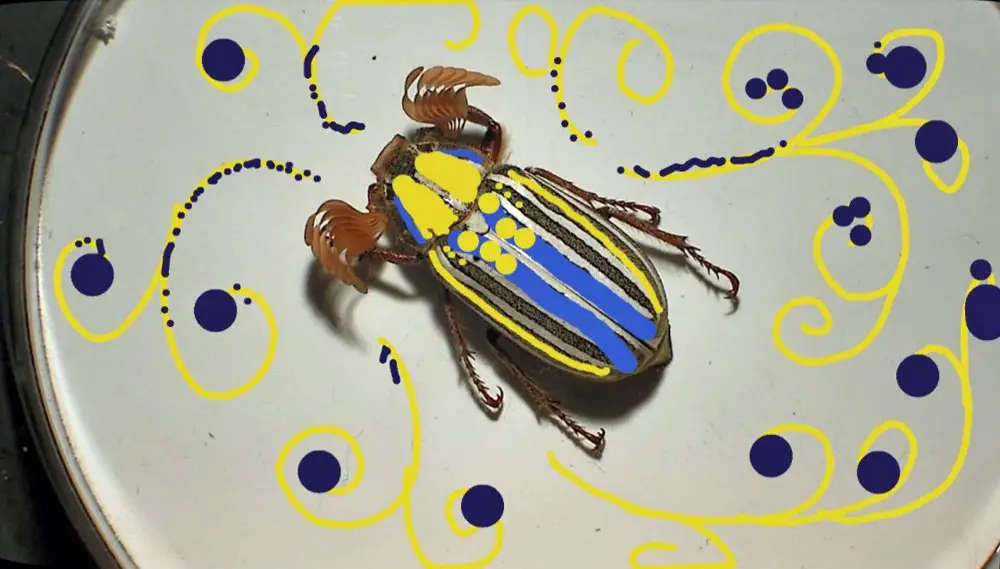 San Diego kids zoo microscope station with a digitally painted beetle.