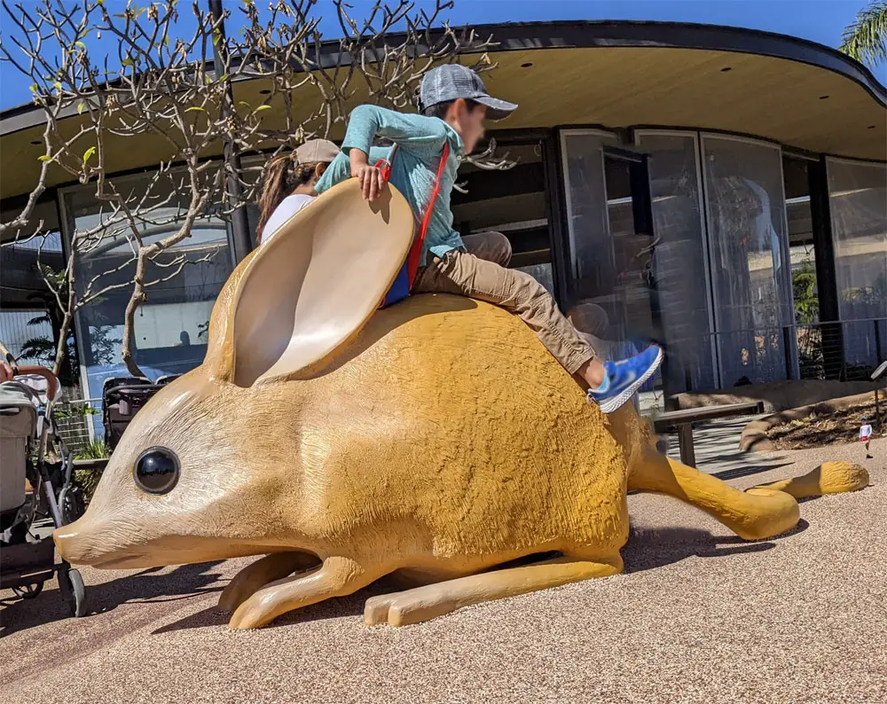 5 times life size Desert Rat play sculpture at San Diego childrens zoo Wildlife Explorers Basecamp. 