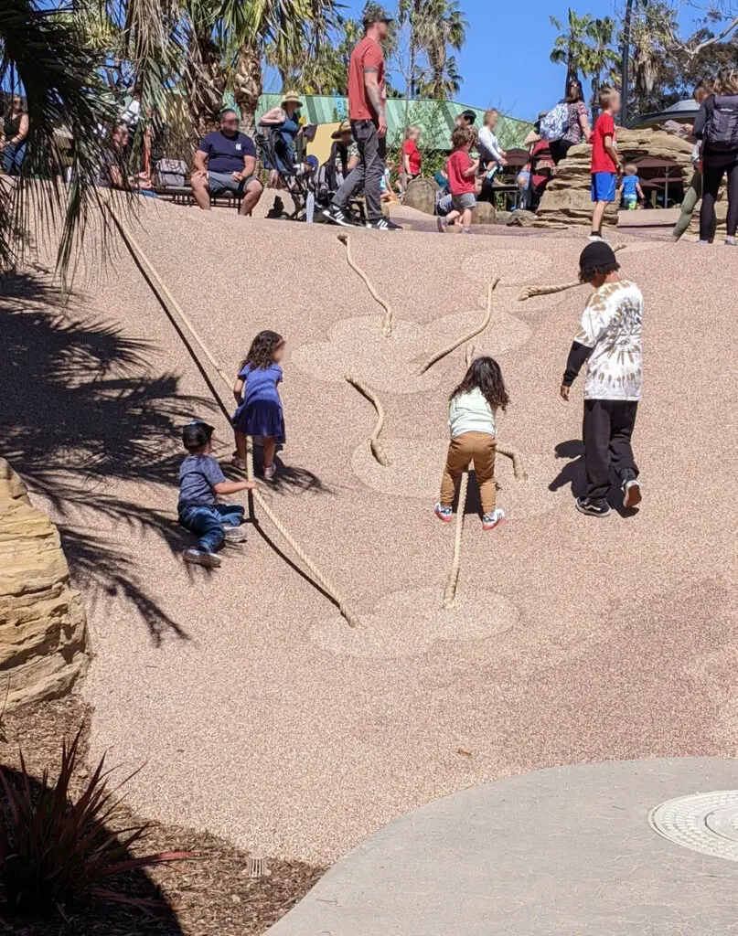 Rope climbing hill at San Diego childrens zoo Wildlife Explorers Basecamp