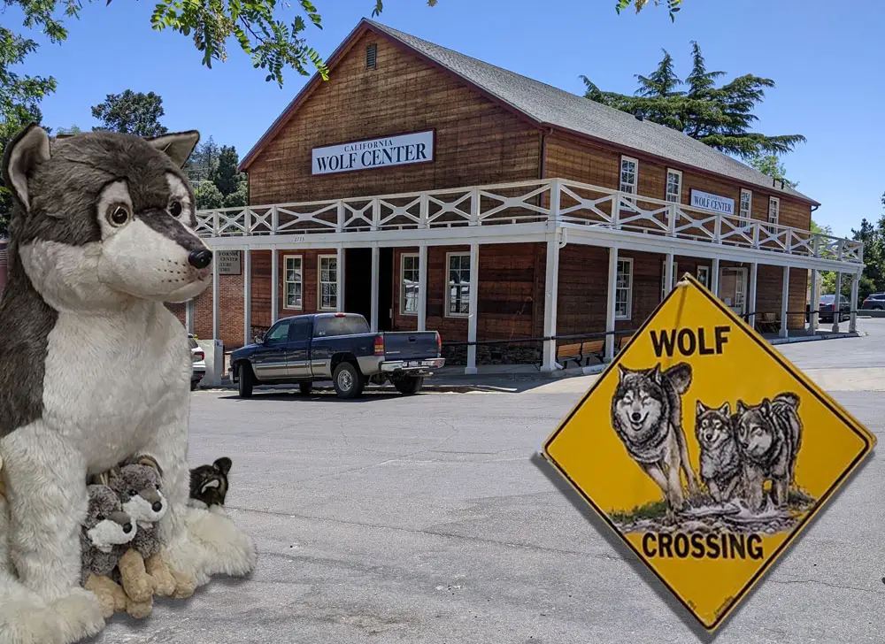 California Wolf Center Visitor's Center and Nature Store in Julian with plush wolf toy and sign.