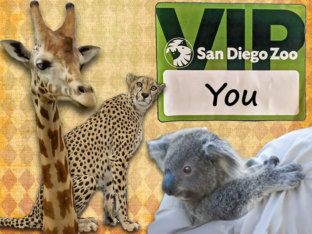 Exclusive VIP Experience San Diego Zoo name tag with cheetah, giraffe and koala. Photo collage.